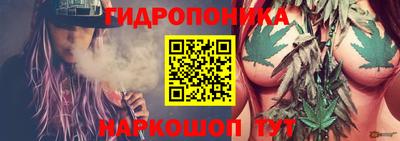 стаф Жуковский