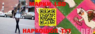мдпв Заводоуковск