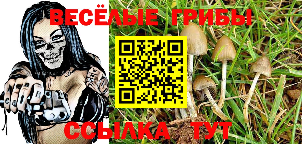 Лянтор  Псилоцибиновые грибы Psilocybe  хочу наркоту  Вход с VPN 